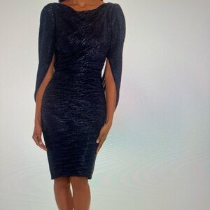 Betsy & Adam Navy Blue Cape Sleeve Dress